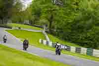 cadwell-no-limits-trackday;cadwell-park;cadwell-park-photographs;cadwell-trackday-photographs;enduro-digital-images;event-digital-images;eventdigitalimages;no-limits-trackdays;peter-wileman-photography;racing-digital-images;trackday-digital-images;trackday-photos